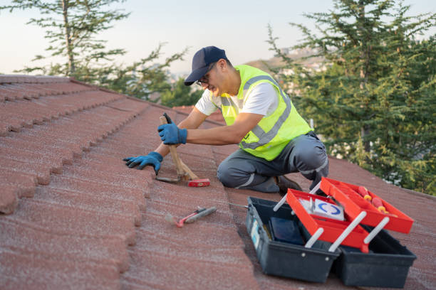 Best Roof Gutter Cleaning  in North Olmsted, OH